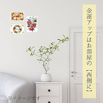 GASA* ザクロの果実の効能 / 赤い花のスカート Amazon.co.jp: 風水 絵 イラスト 三柑（桃・橘・ザクロ）ポスト