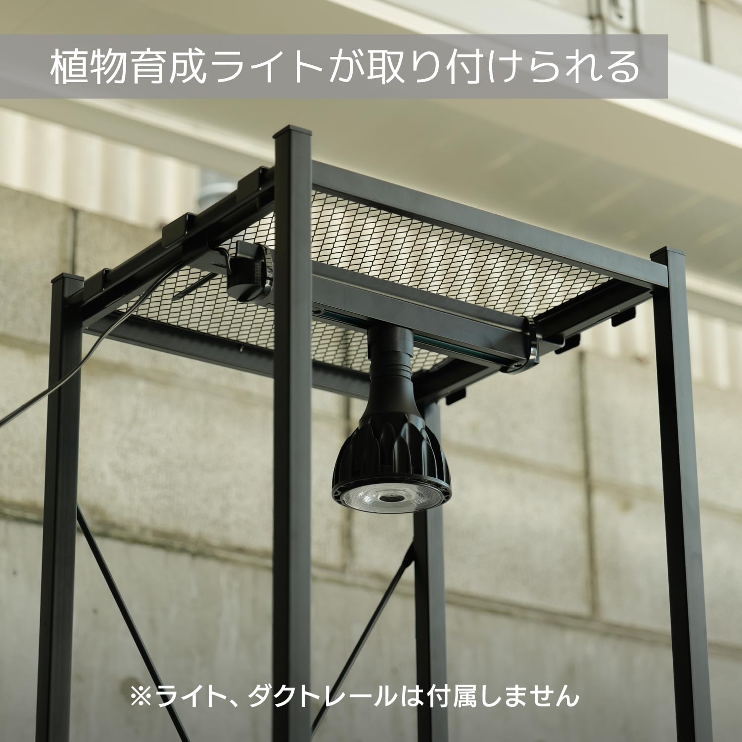 Amazon.co.jp: BIBILAB(ビビラボ) ビザールプランツラック スクエア