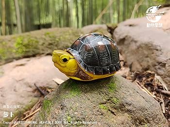 Amazon.co.jp: BACALYSO | 動物惑星 カメ 亀 ガチャガチャ ブラインド