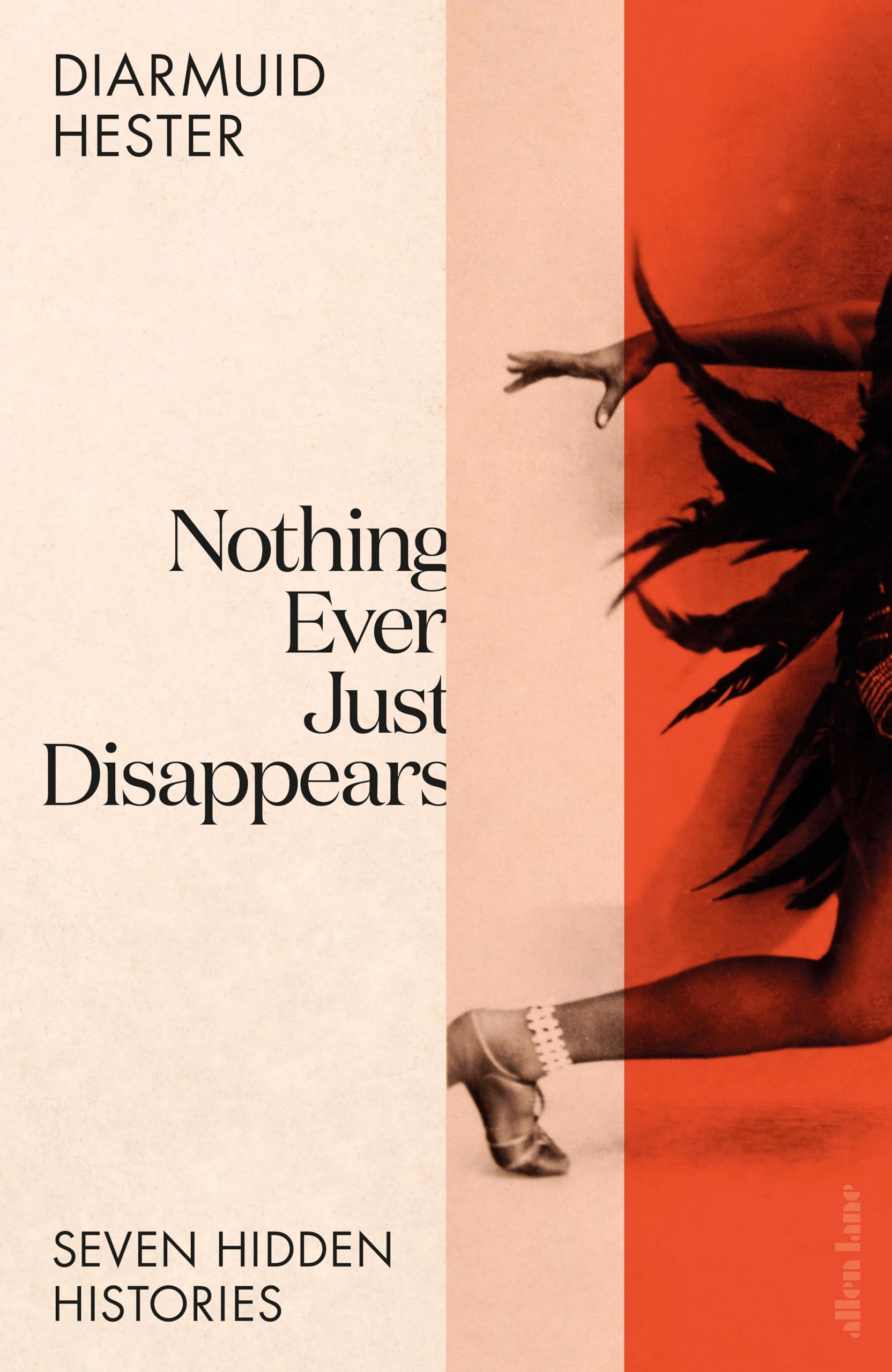 Diarmuid Hester ""Nothing Ever Just Disappears: Seven Hidden Histories"", 2023