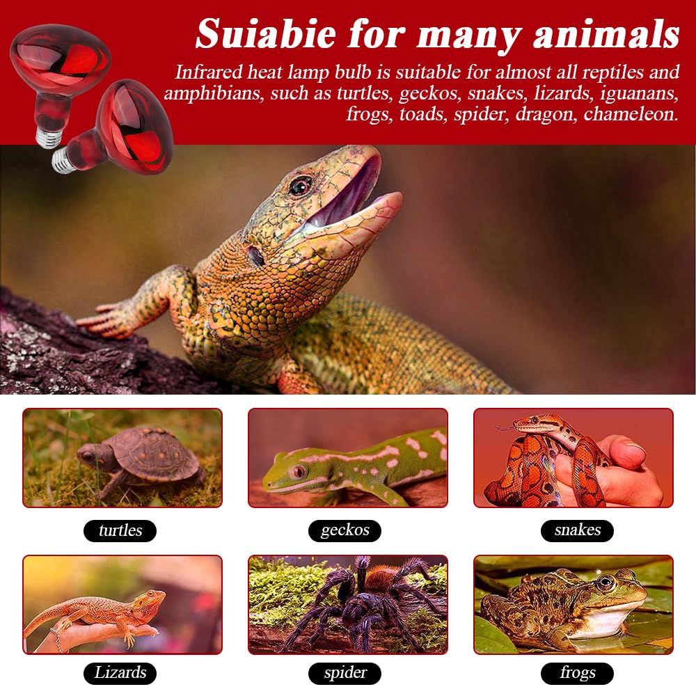 Lampada Riscaldante A Luce Rossa 100W - Per Animali E Benessere, Impermeabile E A Risparmio Energetico - Foto 6