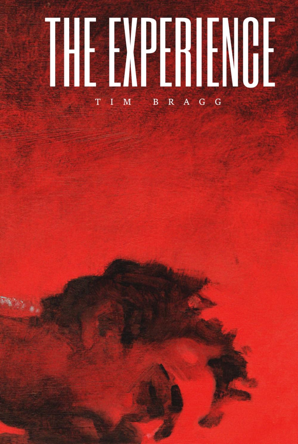 The Experience