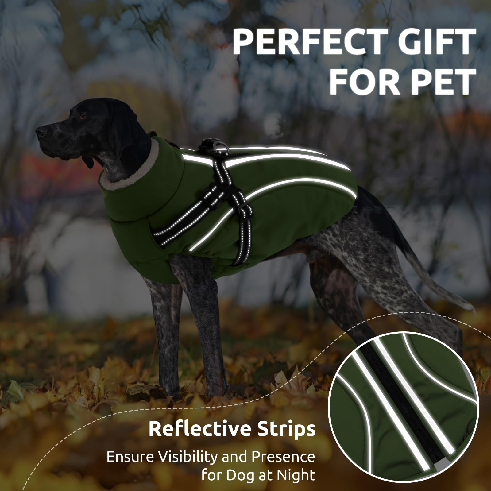 CITÉTOILE Abrigo Impermeable para Perro Antiviento - Chaleco Térmico de Invierno con Forro Polar, Chaqueta Reflectante para Mascotas con Cremallera y Rayas Seguras, Verde, XXL