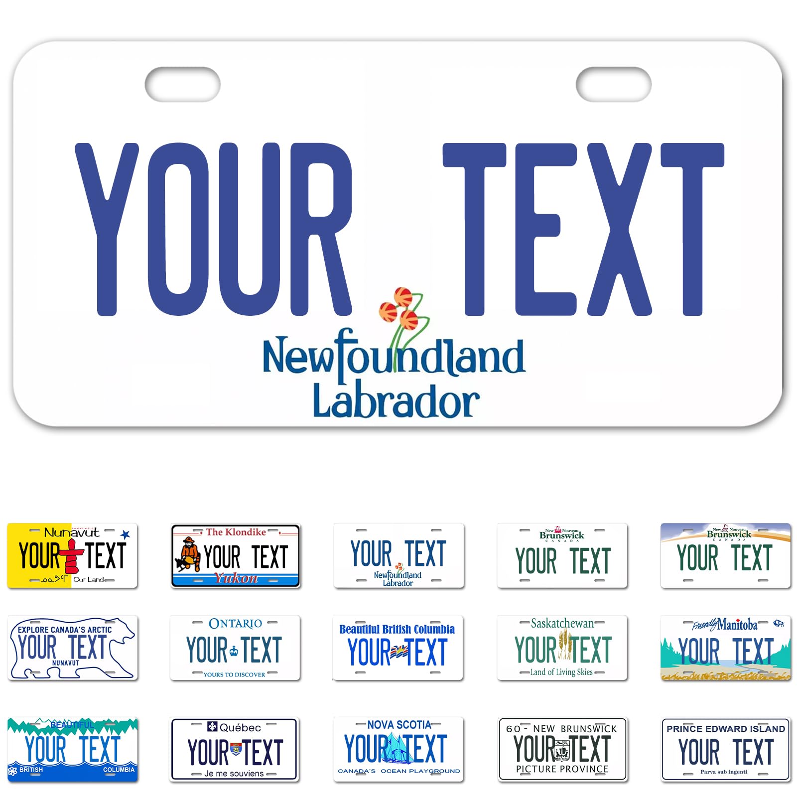 Ontario License Plate, 6"×12" Custom License Plate — view 12