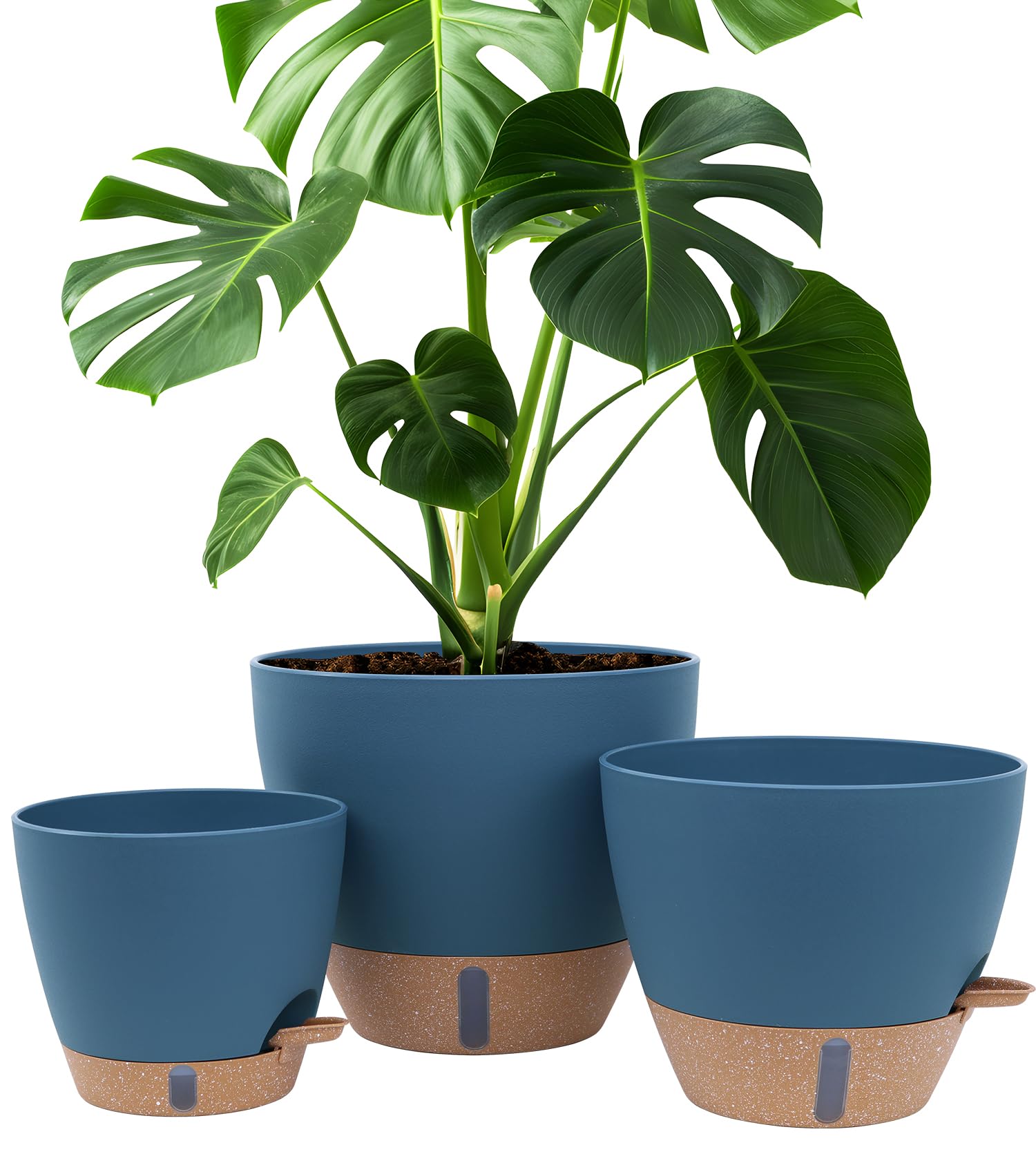 Montresor Self Watering Pots