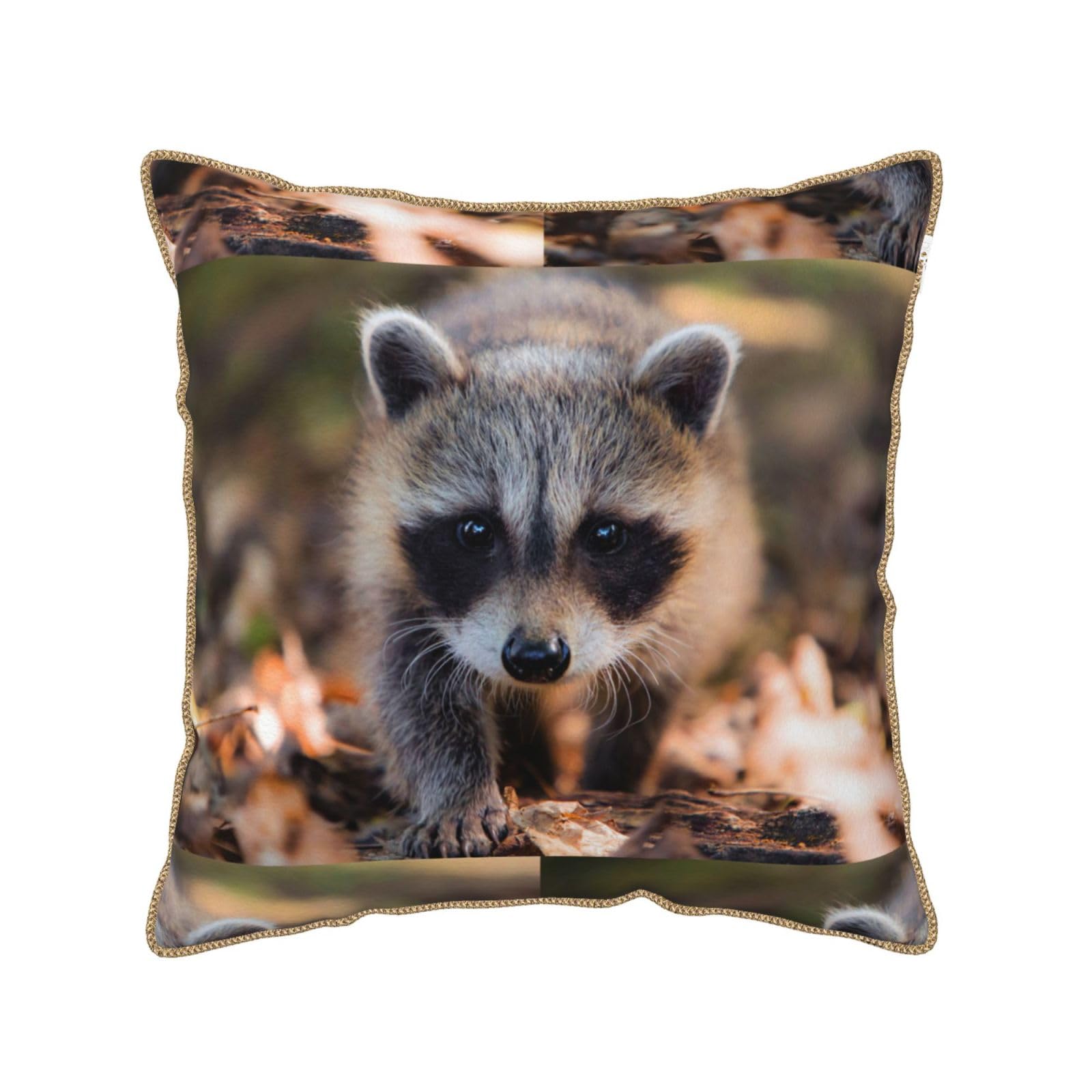 Housse de coussin velours raton laveur anti-pli housse lavable et résistante canapé