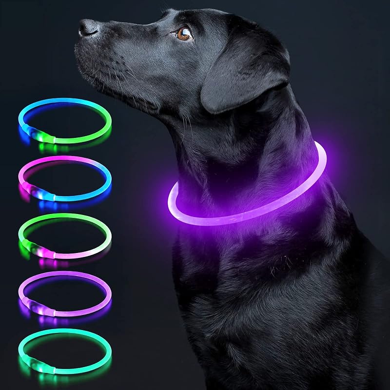 Coleira LED para Cães com Recarga USB, Ajustável e Impermeável, Roxa, Colaseeme
