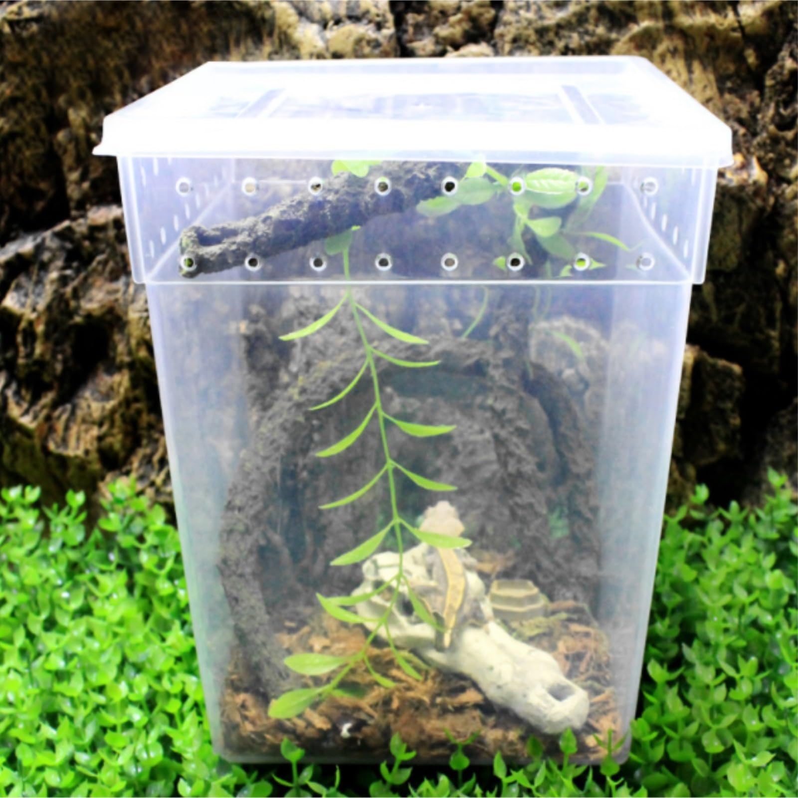 Cría Insectos Terrario De Reptiles, Caja Cría For Serpientes, Cangrejos Ermitaños, Ranas E Insectos Accesorios