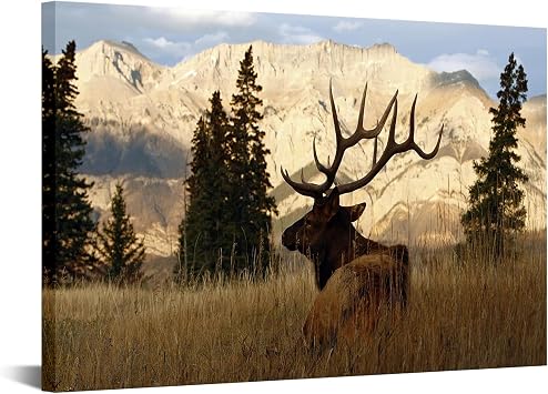 VVOVV Wall Decor Deer Pictures Elk Wall Art Wildlife Animal Painting Art Print on Canvas Stretched Framed Ready to Hang 16"x24"