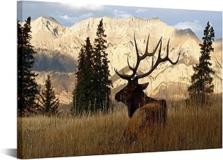 VVOVV Wall Decor Deer Pictures Elk Wall Art Wildlife Animal Painting Art Print on Canvas Stretched Framed Ready to Hang 16"x24"