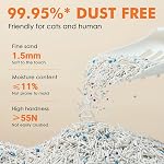 Cat Litter - Superior Odor Control, Flushable, Ultra Absorbent, Fast Drying, Natural Ingredients, Low Tracking, Dust-Free Less Scattering (Cubic Pack - Vanilla White Tea 2 Bags)