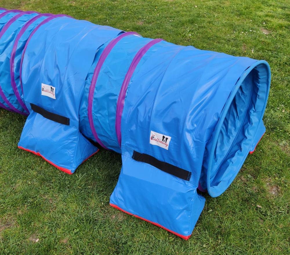 Callieway Premium Dog Agility Tunnel Sandsack - (2er Pack) blau mit Gumminoppen Stoppermatte für Agility Tunnel mit 60cmØ (ohne Tunnel) (blau)
