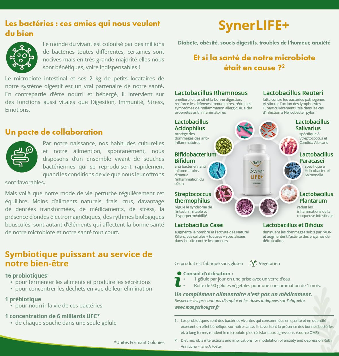 SynerLIFE+ | Probiotique Multi-Souches Naturel | 16 Souches Dont Lactobacillus Rhamnosus | 90 Gélules | 3 Mois | SynerJ Health