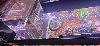 Review Image by Eliazar G. Eliazar G.