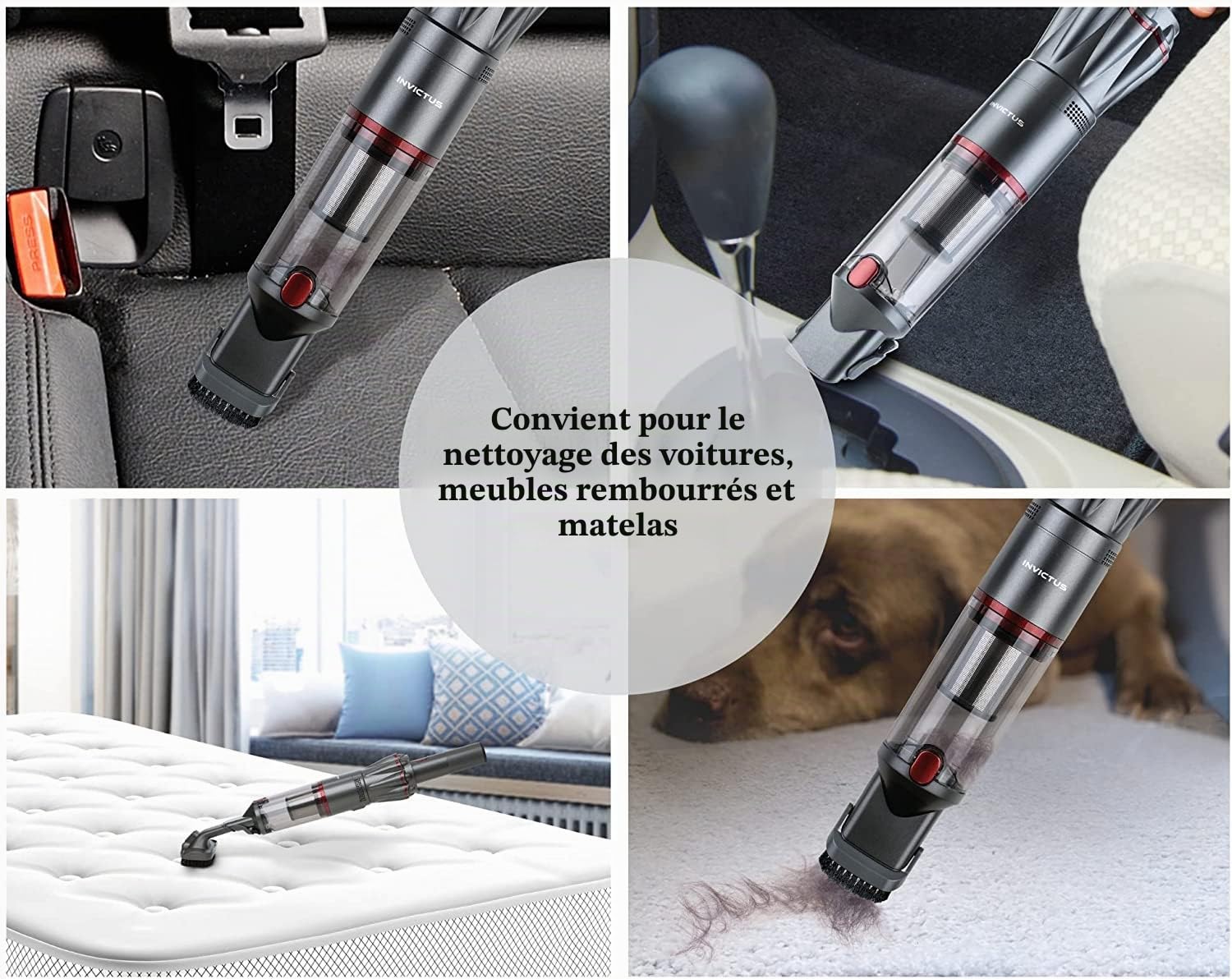 Genius Invictus One 1.0 Aspirateur à main 12 pièces Anthracite