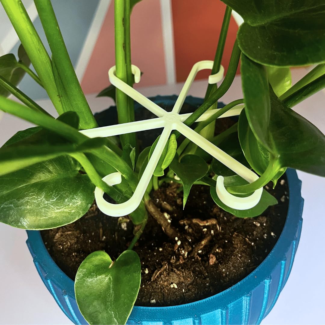 Amazon.com : Chatelet Plant Climbers Stem Holders | Unique Design Supports  for Growing Plants | 3 Sizes Included for Different Plant Stages | Made in  USA (3 Pack, White) : Patio, Lawn & Garden