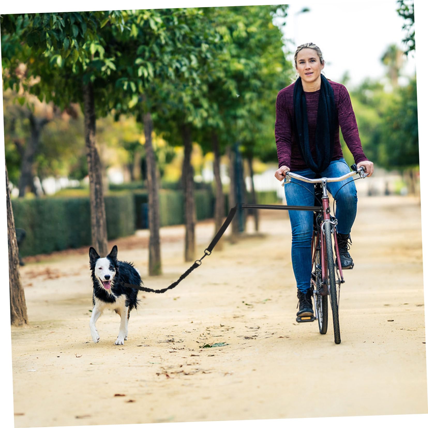 Guinzaglio per Cani da Bici Retrattile Nero in Oxford Cloth e Lega | Cani Piccoli e Medi, Cinturino Confortevole ed Ergonomico, Adatto per Viaggi e Hiking