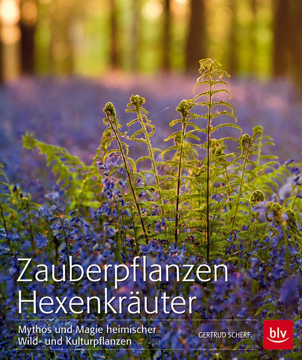 Zauberpflanzen Hexenkräuter: Mythos und Magie heimischer Wild- und Kulturpflanzen