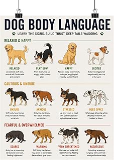 Dog Body Language Poster Canine Behavior Chart Training Reference