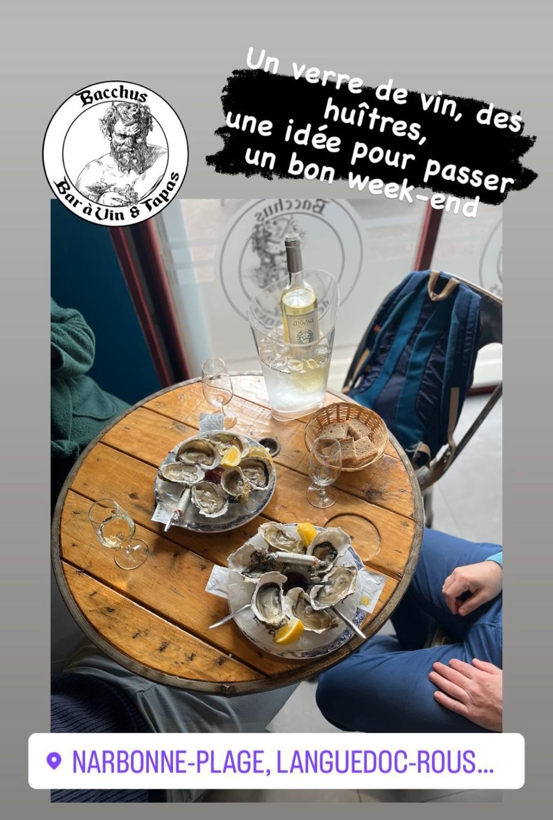 Platos de ostras refrigerantes en bolsa de hielo (13 + 2 ofertas – sin embalaje) para profesionales CHR