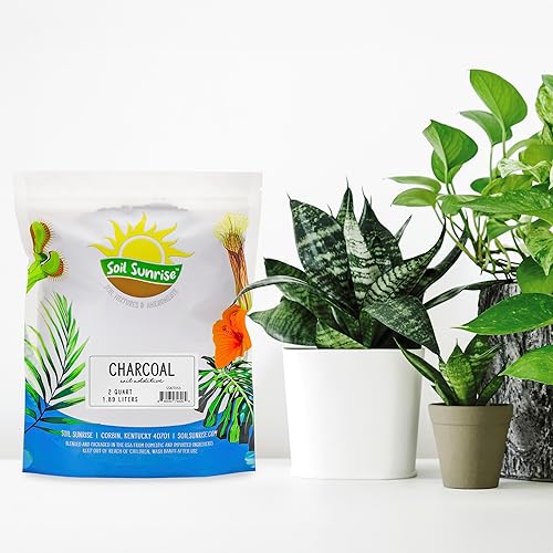 Miniatura 13 de Soil Sunrise Carbón hortícola para plantas de interior (12 cuartos de galón) Aditivo para suelos de madera dura para orquídeas, terrarios