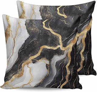 Impressionist Modern Pack of 2 Pillowcases Abstract Marble Black Pillow Covers for Bedroom Sofa Living Room Camping 26 x 26 Inch