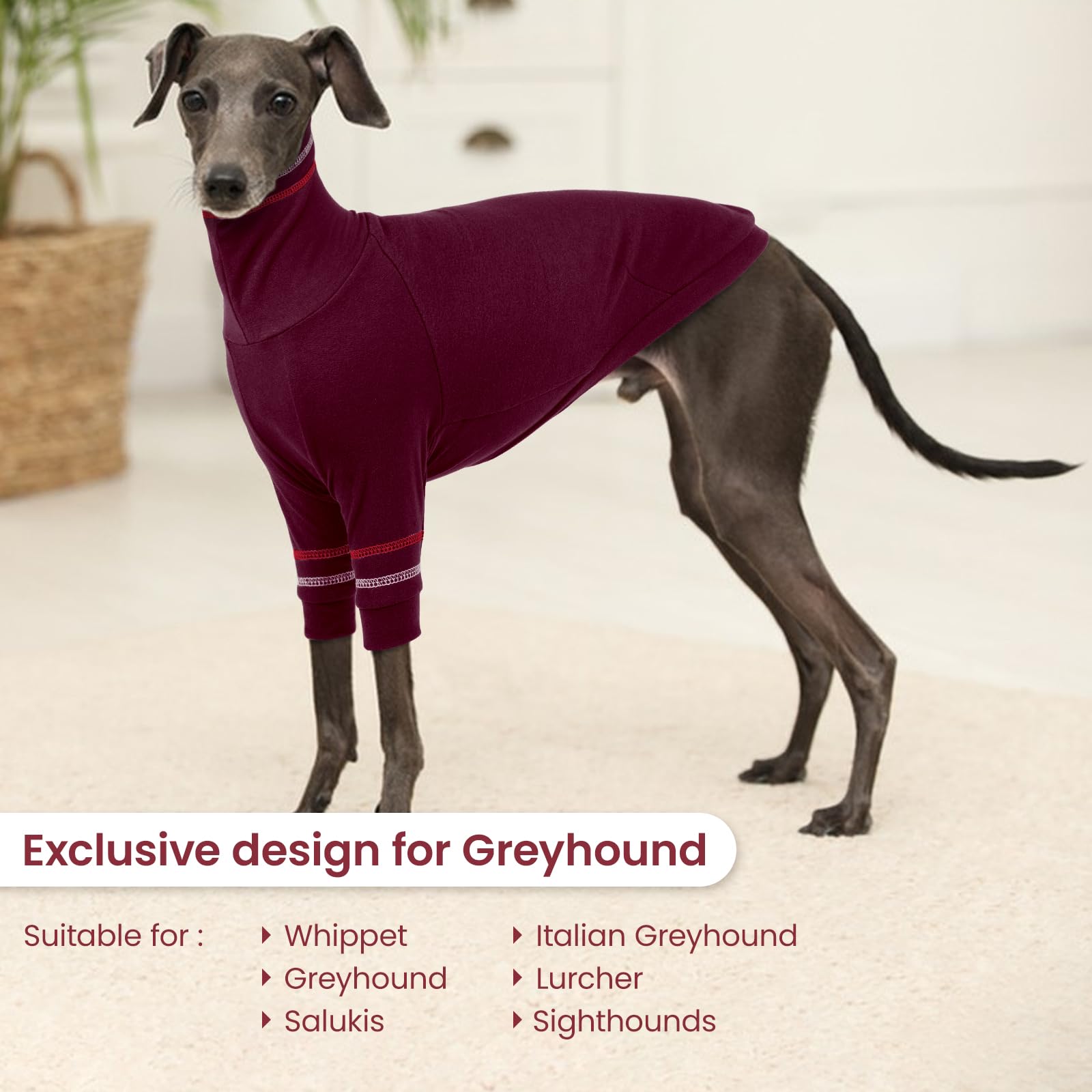 Suéter para perro de galgo, abrigo italiano para perros pequeños, sudadera de punto elástico con cuello alto, talla XS
