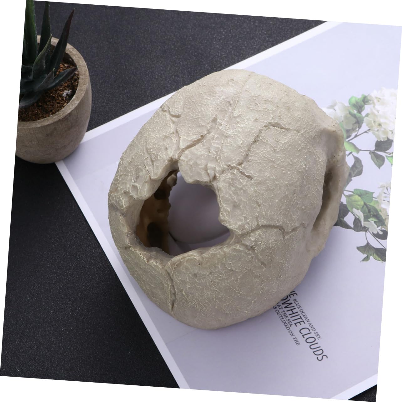 BESPORTBLE 3St Aquarienschädel - Lebensraum für Aquarien Aquariumdekorationen Terrarium Aquarium Reptilien Spielzeug Aquarium-Schädel Requisiten für Aquarien