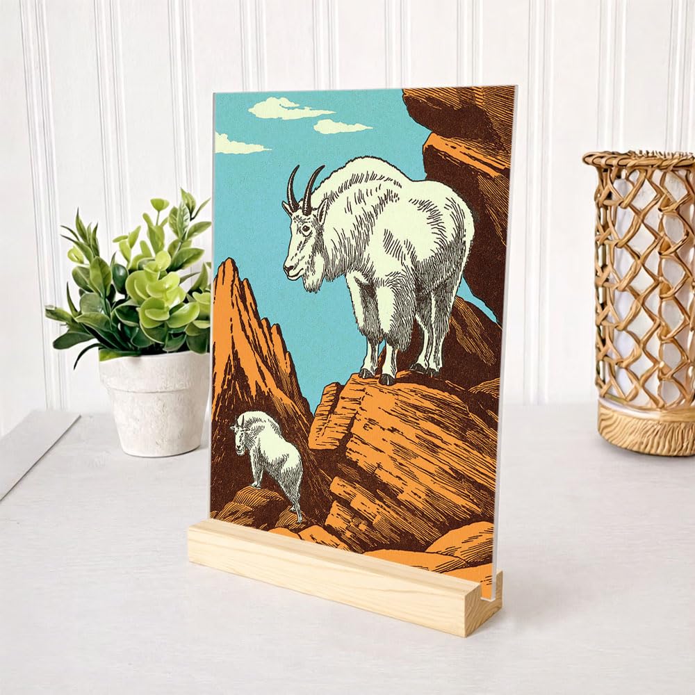 DesignSkinz 5.8x8 Inch Acrylic Print with Pine Wood Base, 1mm Acrylic Display, Desk Decor, Modern Home & Office Decoration, Minimalist Shelf Décor | Mountain Goats-image-15