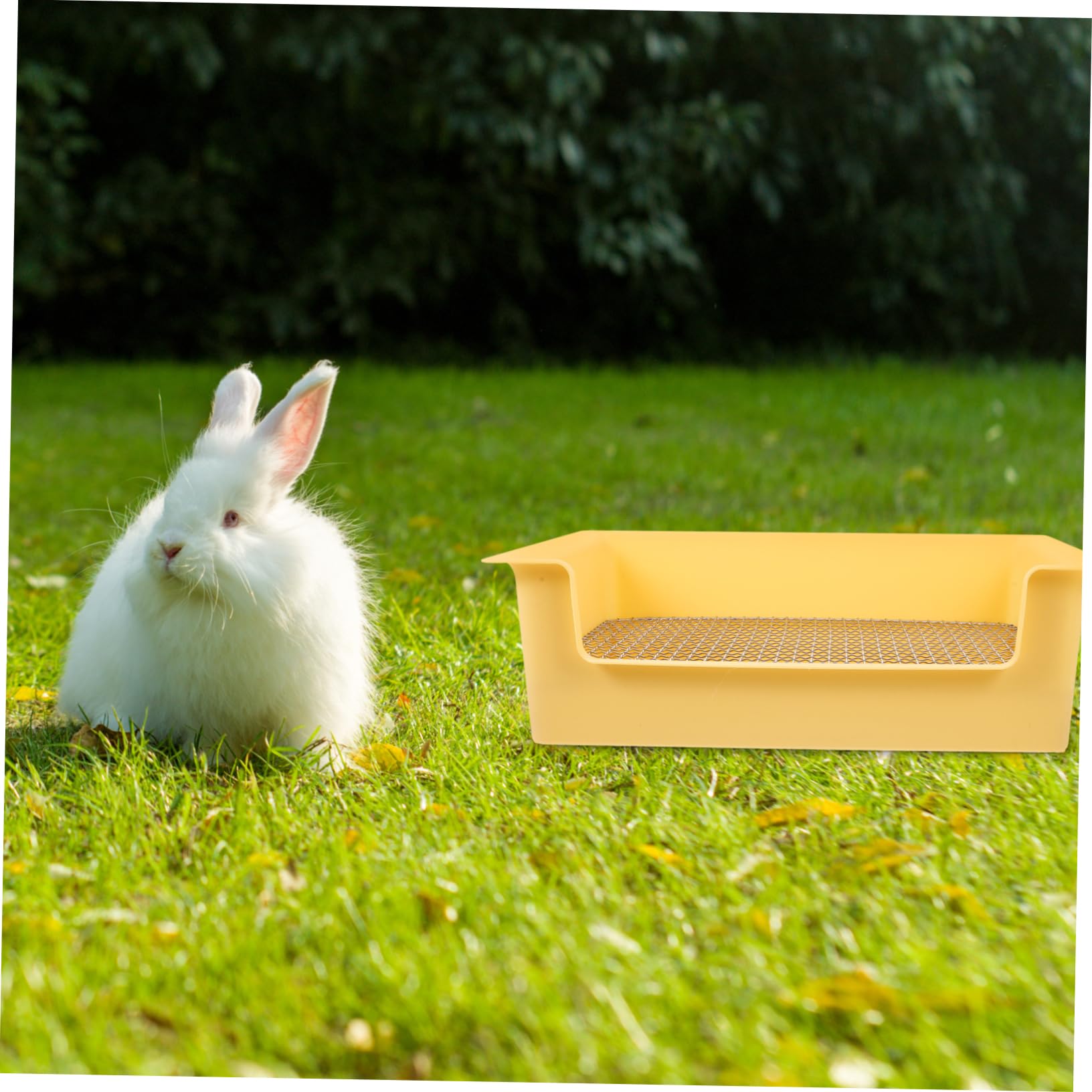 Abaodam Lettiera Per Conigli e Piccoli Animali Vasino Per Criceti Porcellini D'india e Cincillà in Pp Toilette Riutilizzabile Per Addestramento Accessorio Per Gabbie e Casa Design Pratico e Resistente