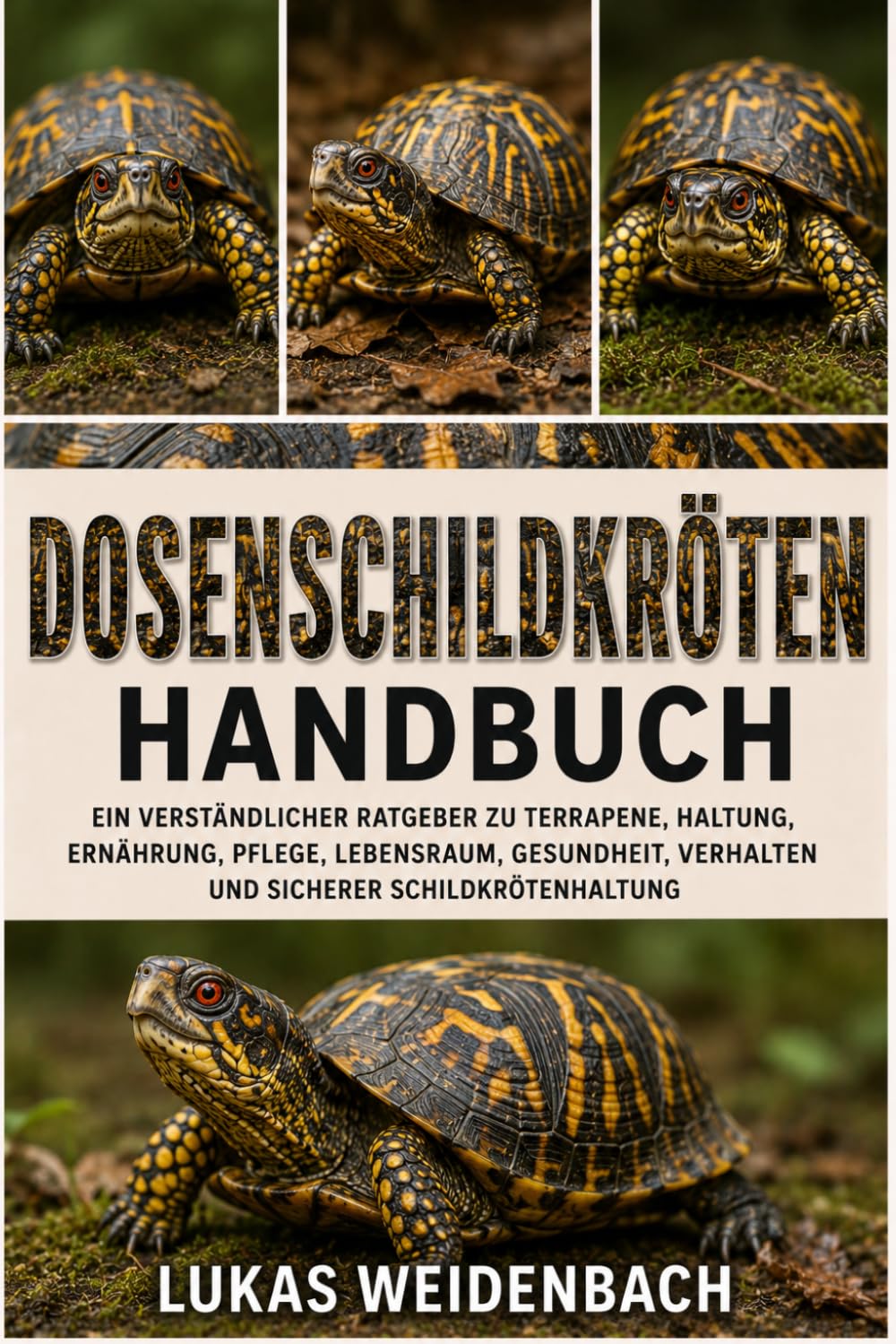 Dosenschildkröten Handbuch: Ein verständlicher Ratgeber zu Terrapene, Haltung, Ernährung, Pflege, Lebensraum, Gesundheit, Verhalten und sicherer Schildkrötenhaltung