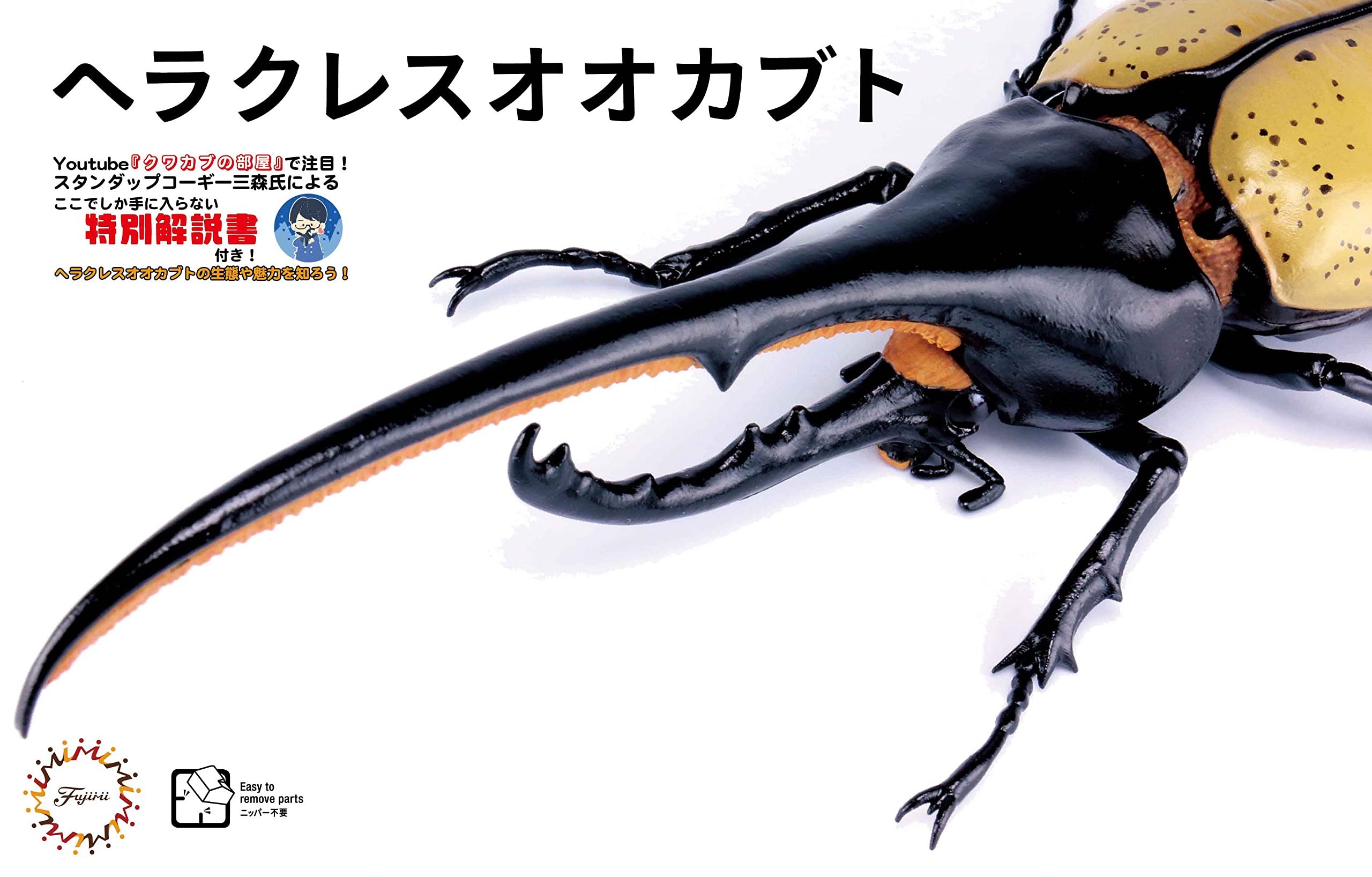ヘラクレスオオカブトNO.6 icoヘラクレス・ヘラクレス♀68mm単品