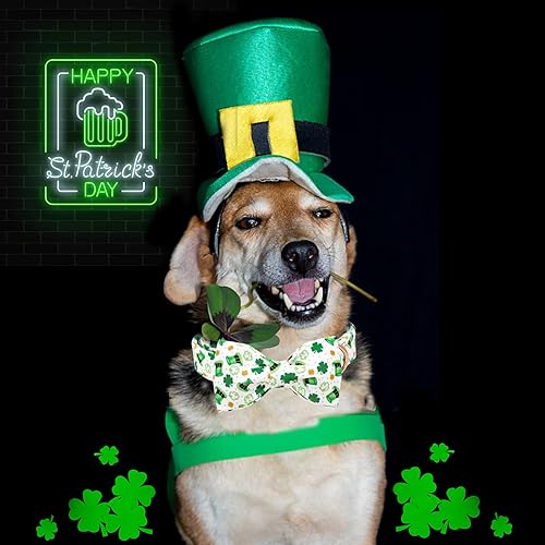 Miniatura 10 de Lionheart glory Collar de lazo para perro para el día de San Valentín, collar de perro para perros grandes, collares de perro con corazones con