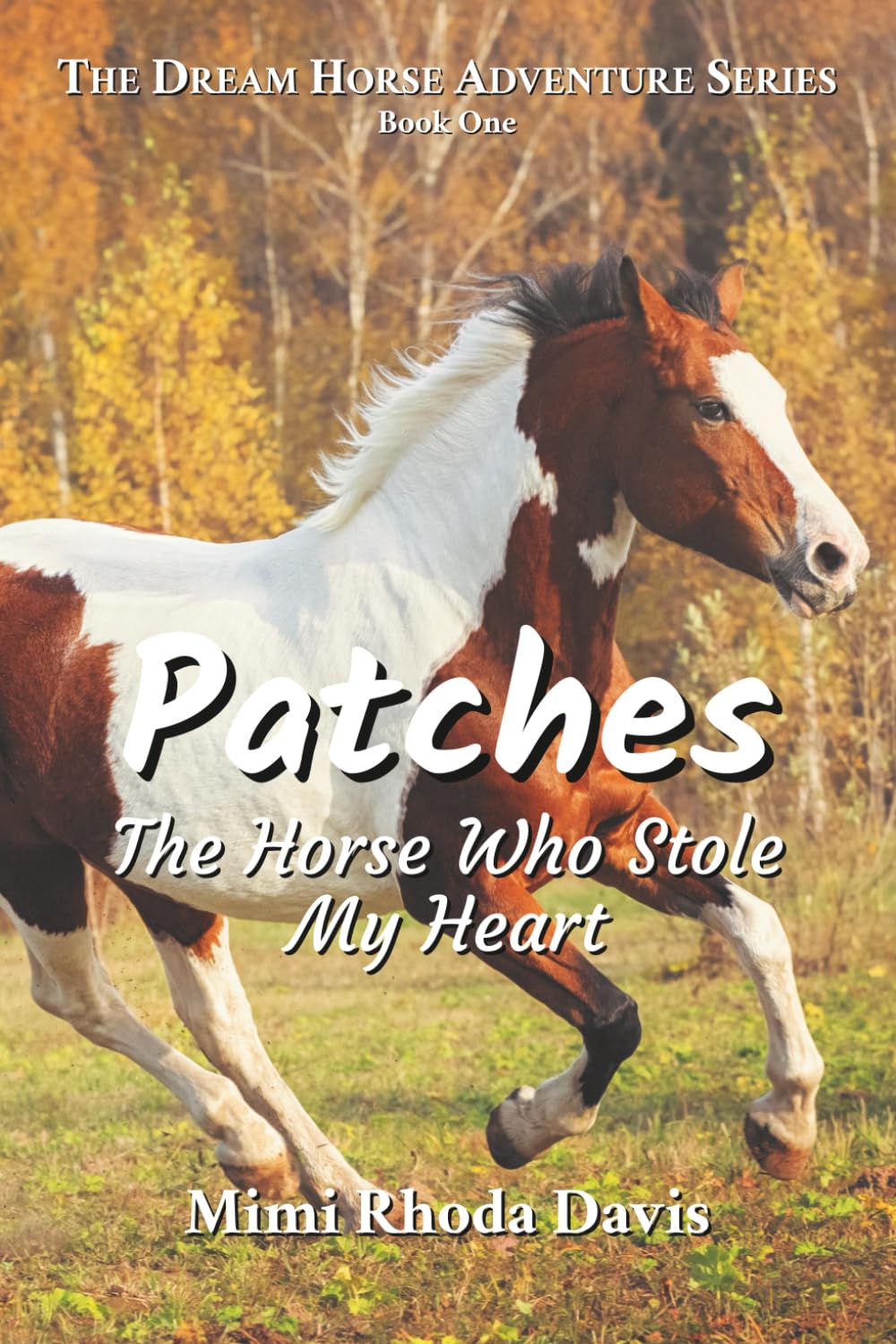 Patches: The Horse Who Stole My Heart (The Dream Horse Adventure Series)