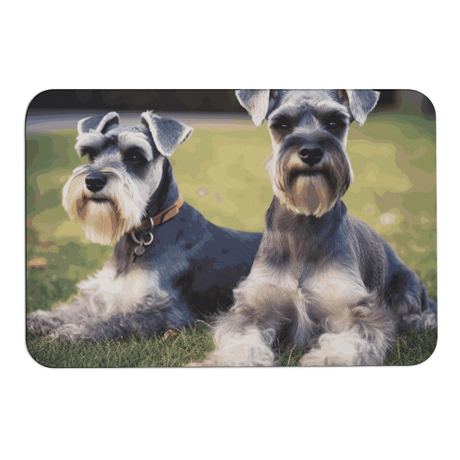 Tapis absorbant motif Schnauzer : paillasson intérieur/extérieur antidérapant 40x60cm