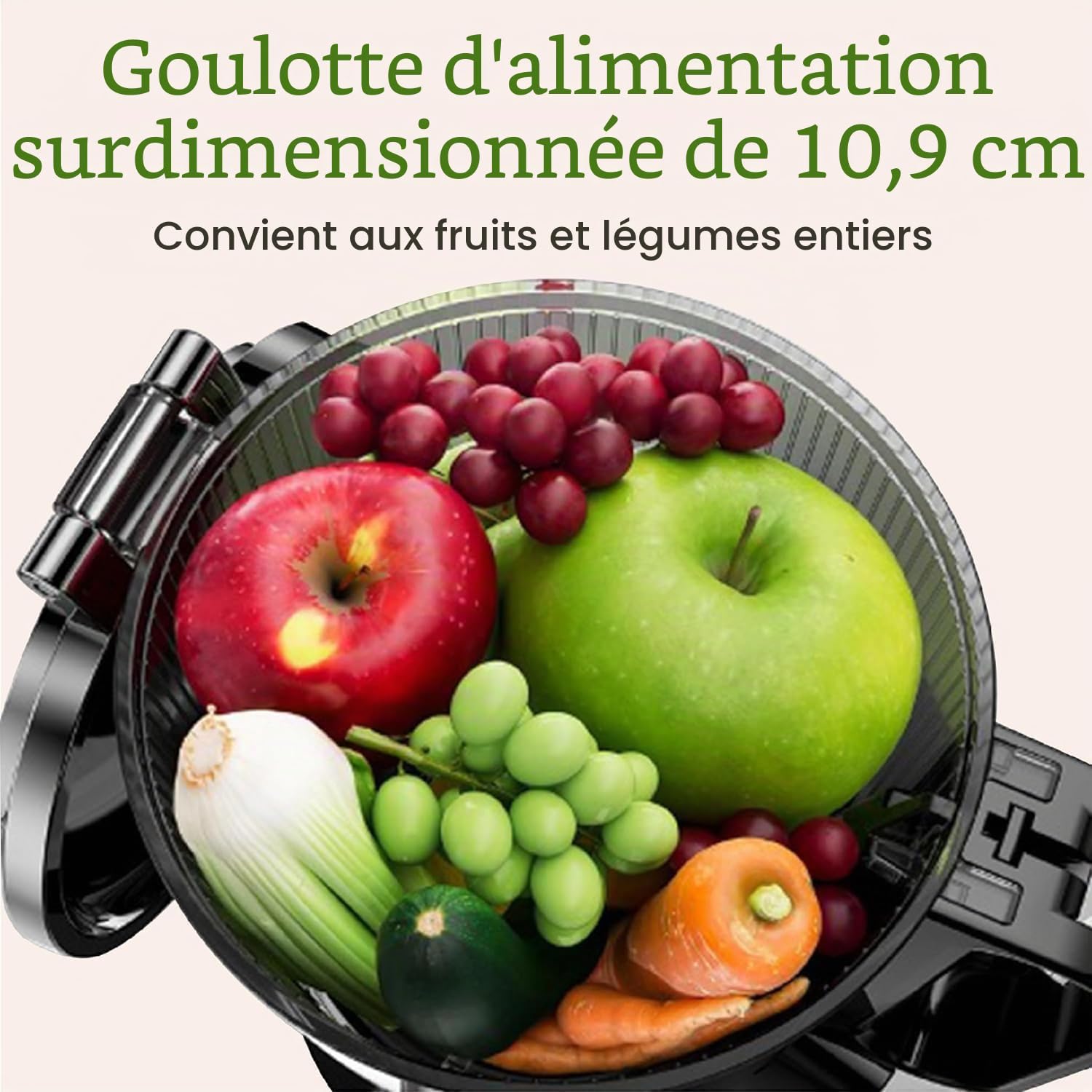 Anybear Extracteur de Jus à Froid, 200W Masticien Extracteur de Jus, 110cm Grande Gamelle pour Fruits et Légumes Entiers, Extracteur de jus Lent, Matériaux Tritan, Sans BPA (argent)