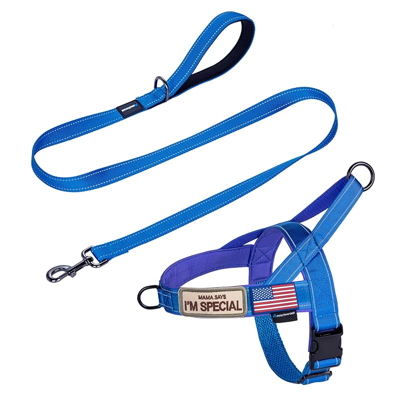 Peitoral antipuxão para cães Annchwool com alça acolchoada e guia de 1,52 m Blue Set, M