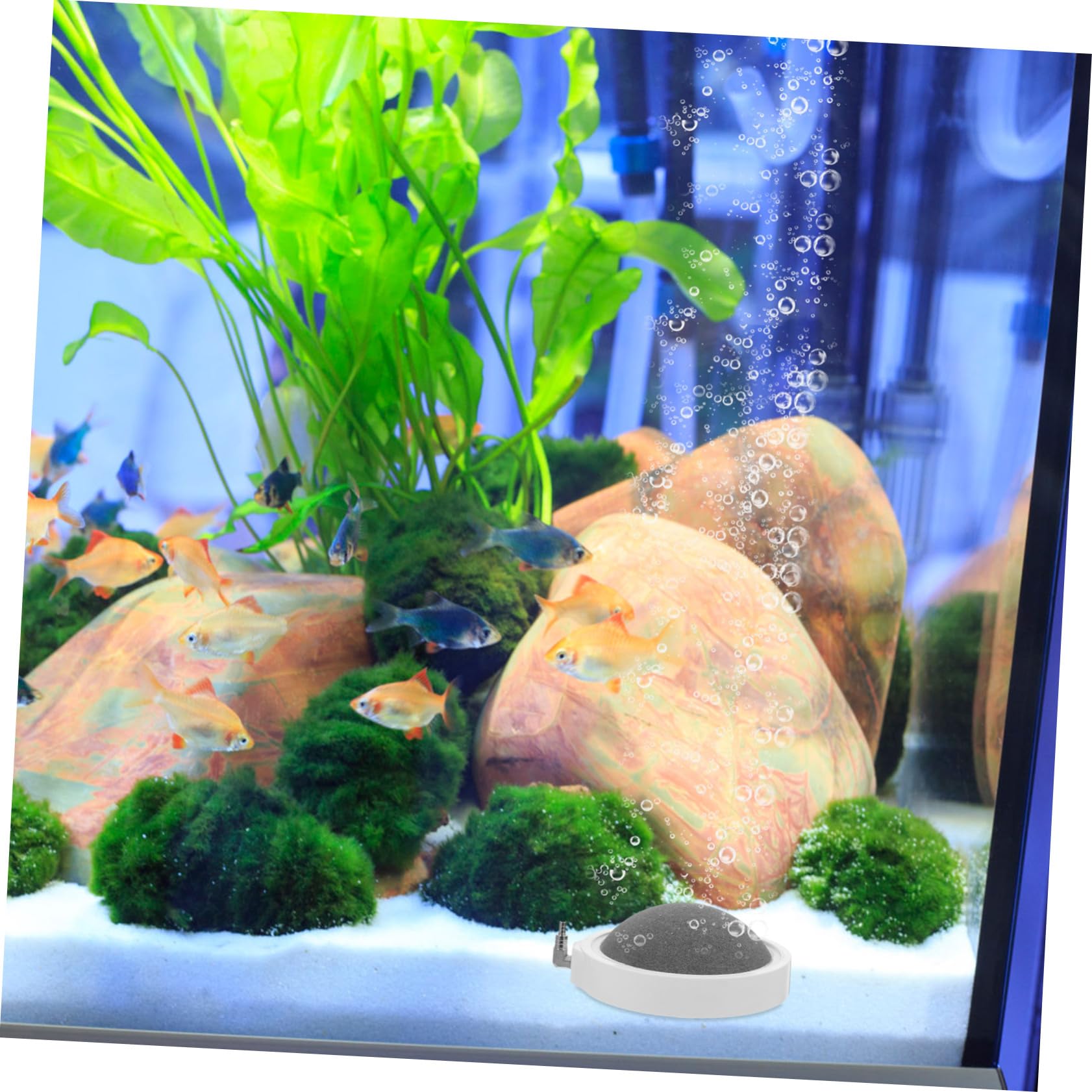 2 Stück Aquarium Blasensteine aus Nanomaterial zur Sauerstofferhöhung mit Gleichmäßiger Blasenverteilung für Fischbecken und Hydroponische Nährstoffbehälter im Büro