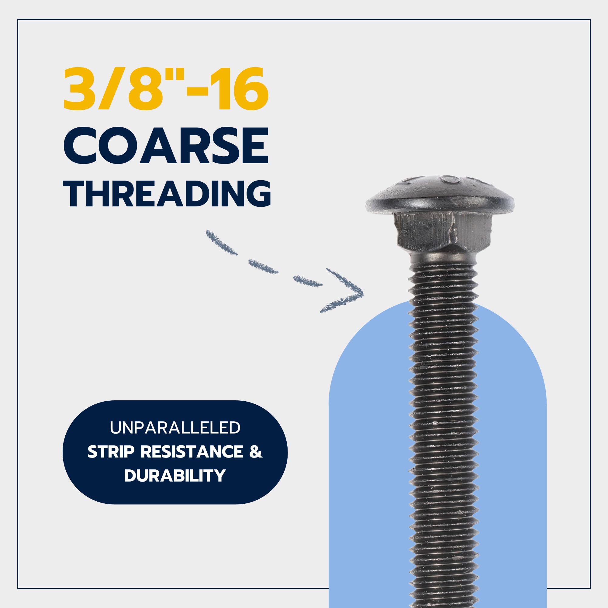 Black Carriage Bolts - 25 Pack, Rust Resistant -5