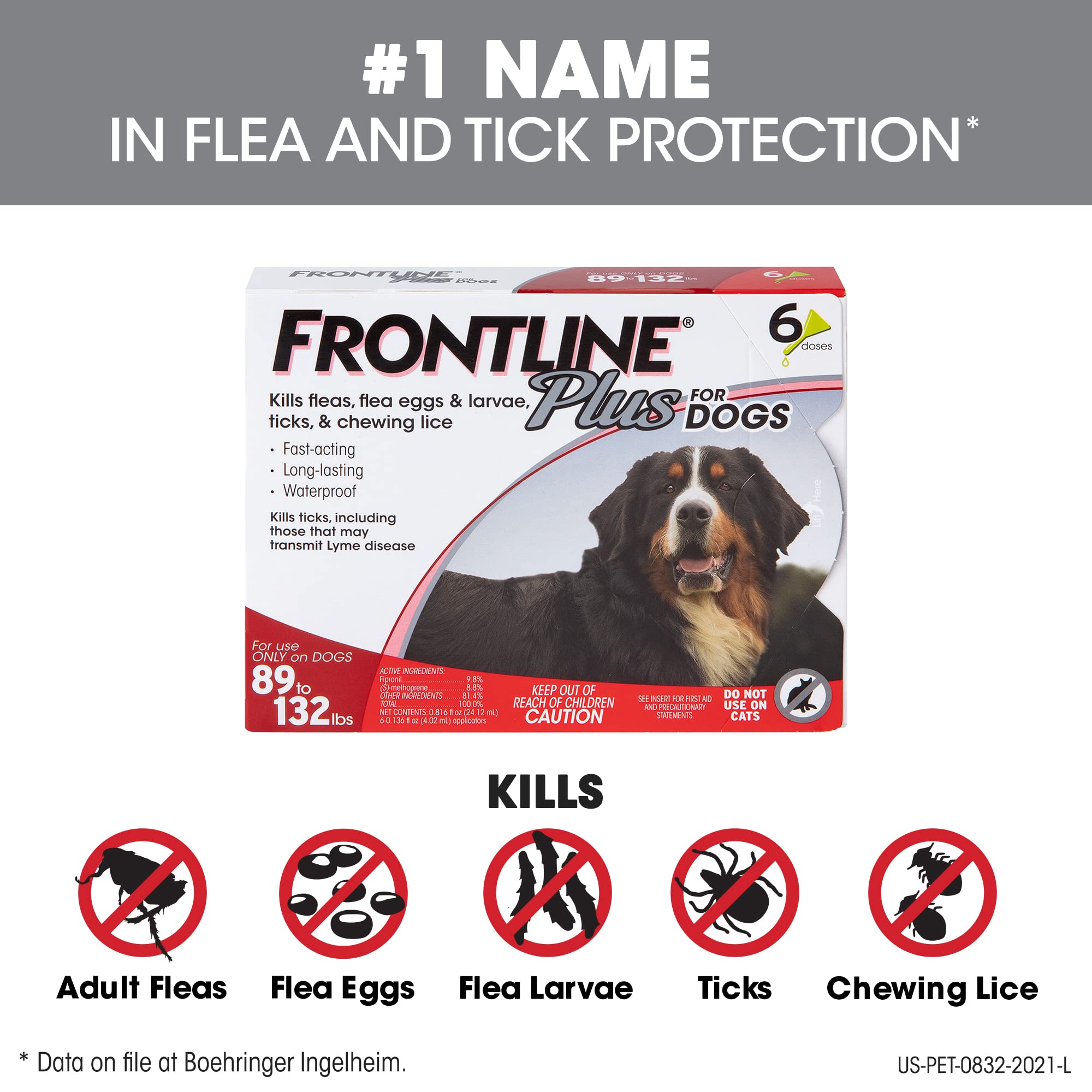 Will Frontline Kill Fleas Already On Dog