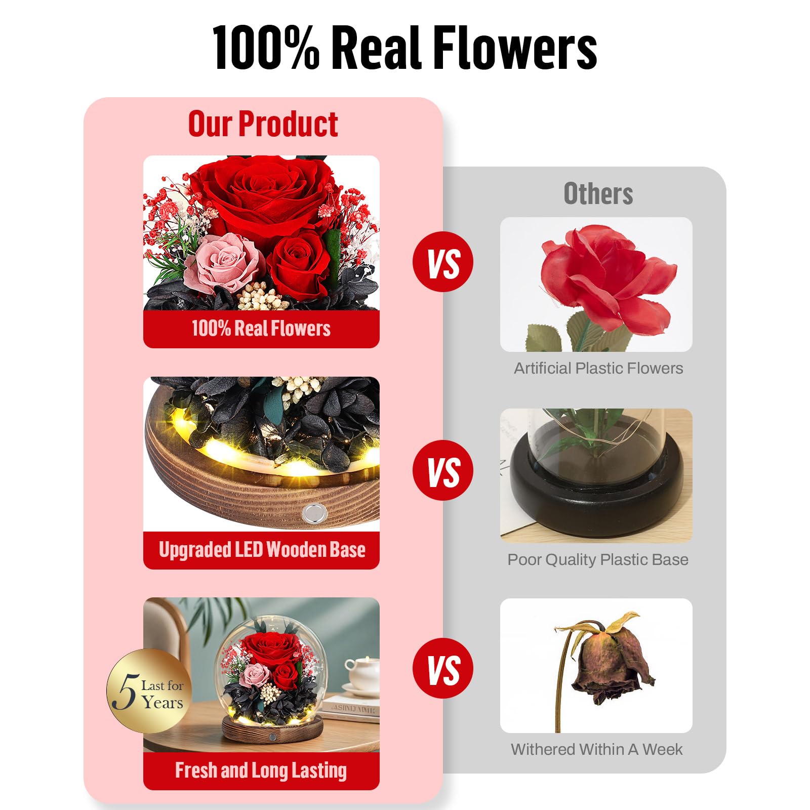 Rosa Stabilizzata Vera con Luci LED, Rosa Eterna La Bella e la Bestia, Regalo per Lei, Donna, Fidanzata, Mamma, Idee Regalo per San Valentino, Compleanno, Anniversario, Festa della Mamma (Rossa)