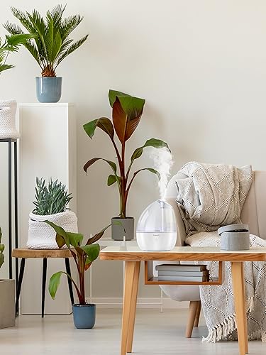 Miniatura 6 de Humidificador de niebla fría para dormitorio, humidificadores pequeños de 2L para dormitorio y oficina, humidificador de 25 dB para habitación de