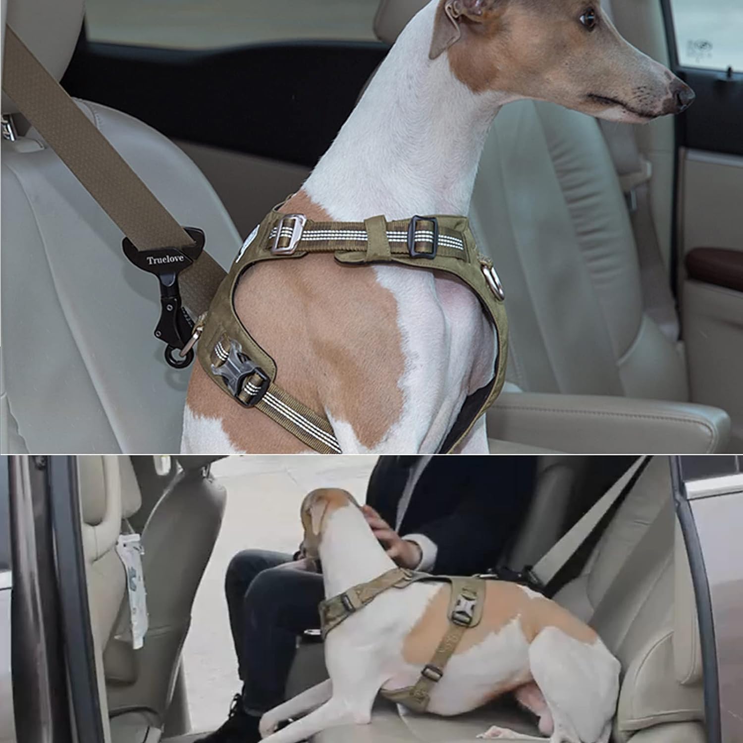 Truelove Vehicle Seat Belt Safety Buckle Lock, Dog Seat Belt Clip Universal Dog Car Restraint - Portable Vehicle Seatbelt Harness for Pet Car Travel(Purple) - image 4