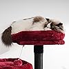 Product Photo 8
