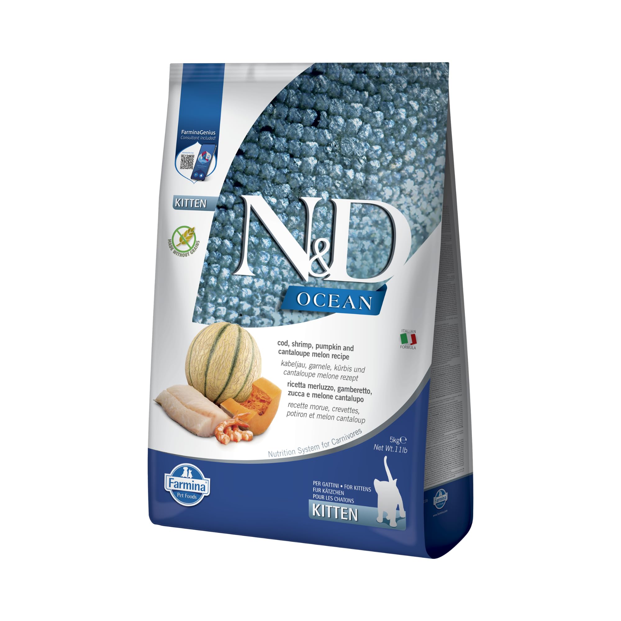 N&D Ocean Morue, Crevette, Potiron & Melon Chaton 5.00 kg