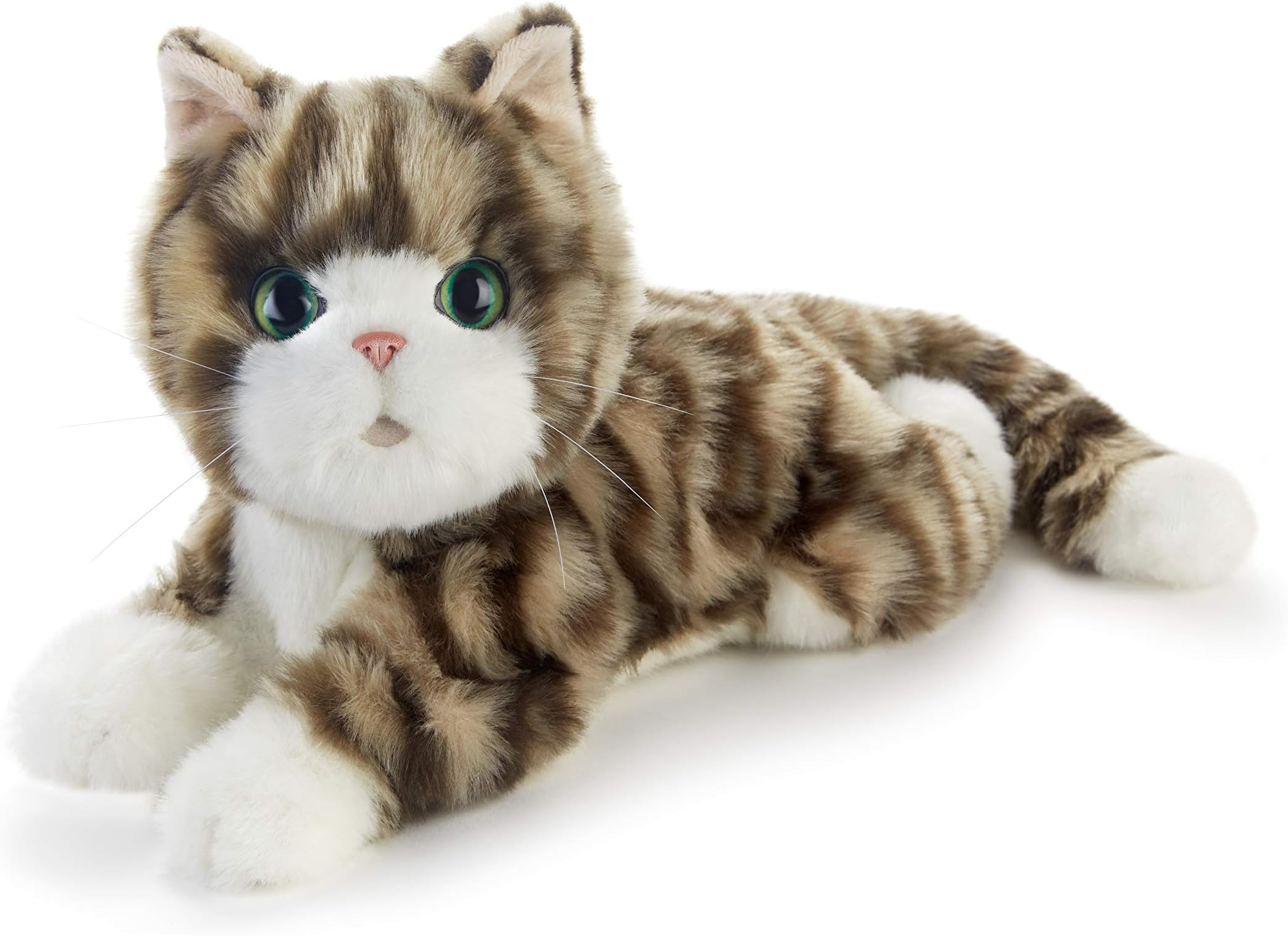 Tabby Kitten Companion