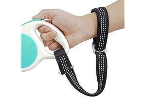 2-Pack Ultimate Stroller Safety Strap for Worry-Free Walks and Hands-Free Convenience