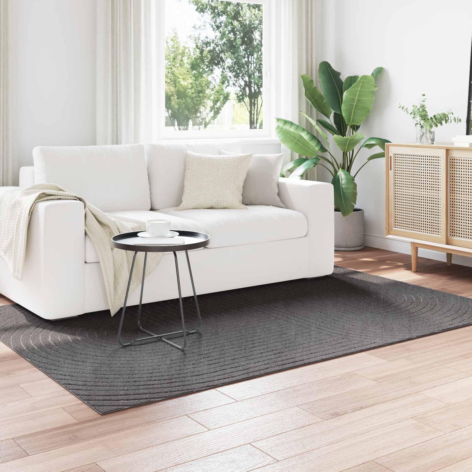Palmeras Tapis en polyester avec dessous antidérapant, lavable, insonorisant, convient pour salon, couloir, cuisine, chambre d'enfant, utilisation en extérieur Anthracite 170 x 120 cm