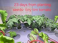 Review Image by Richard Gallant Richard Gallant