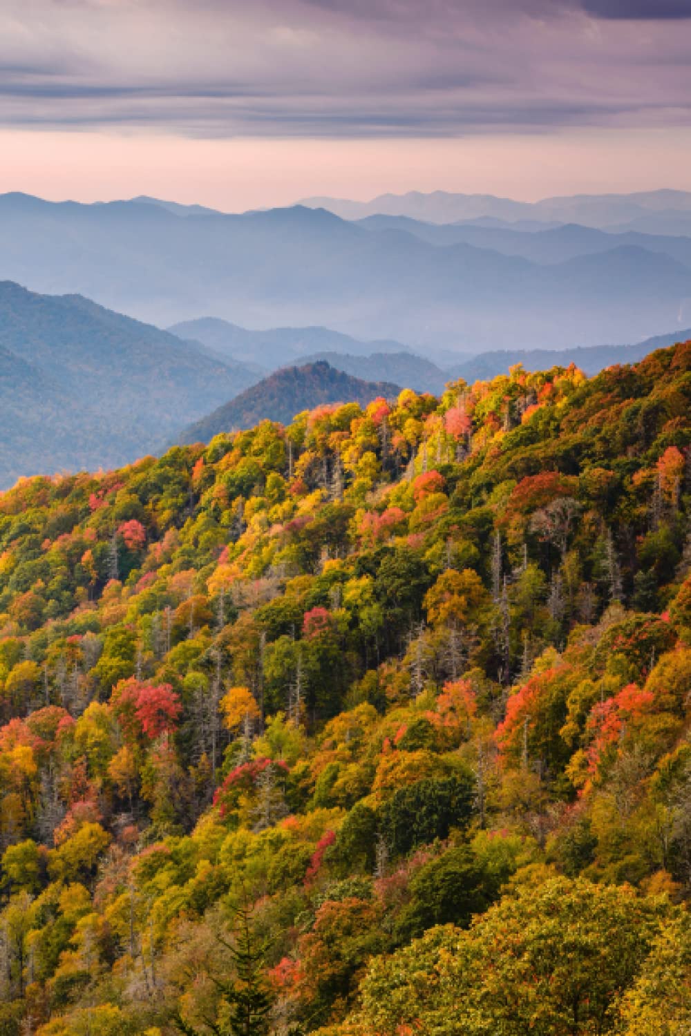 Great Smoky Mountains National Park Journal: 120 page 6 x 9 notebook, Lined journal to write in with extra unlined pages for drawing, cover showing ... Appalachian Trail, North Carolina, Tennessee
